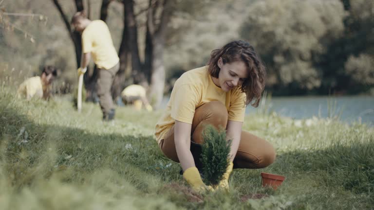 Best Lawn Pest Prevention  in , CO