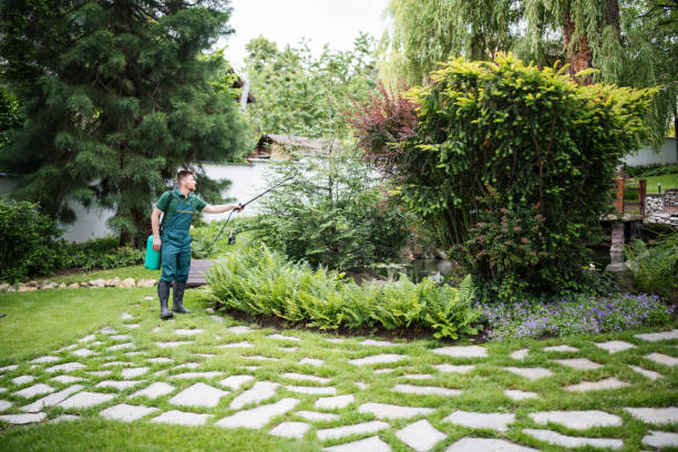 Best Tree and Shrub Care  in , CO