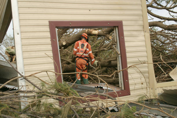Best Storm Damage Tree Cleanup  in , CO