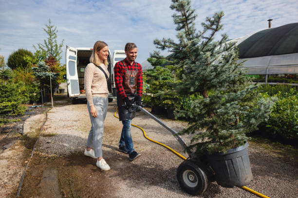 Best Landscape Design and Installation  in , CO